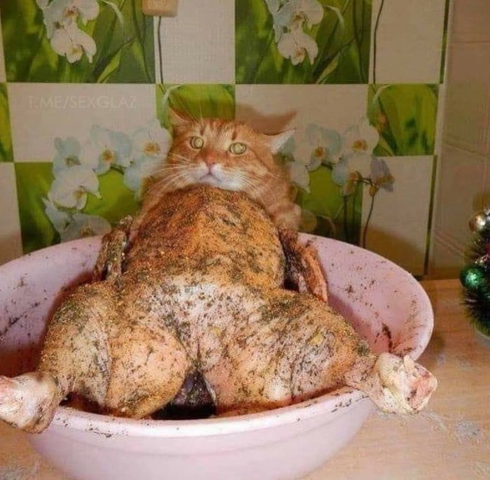 30 фото, на которых совсем не то, что кажется с первого взгляда - фото 530248