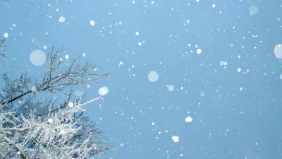 Ось коли в Києві випаде перший сніг