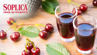 Смаки, що поєднують: які цінності лежать в основі філософії Soplica