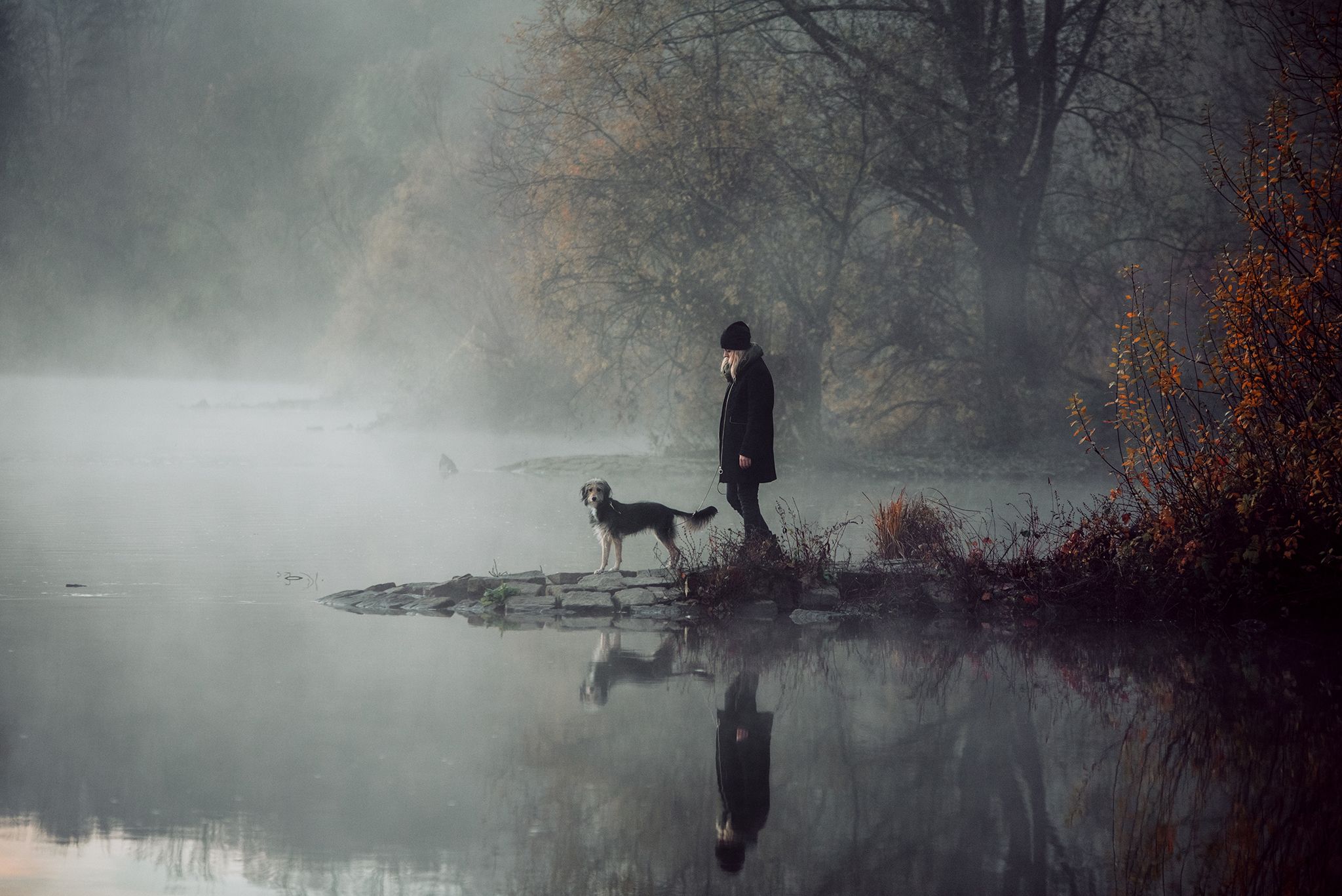 Показали переможців фотоконкурсу собак Dog Photography Awards 2021 - 530952 Показали переможців фотоконкурсу собак Dog Photography Awards 2021 - фото 530952