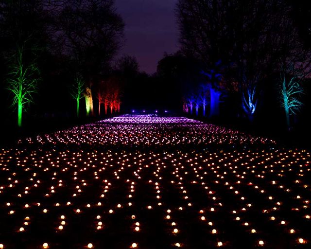 Ботанический сад Нью-Йорка украсили 1 млн фонариков, и это такая красота - фото 531134