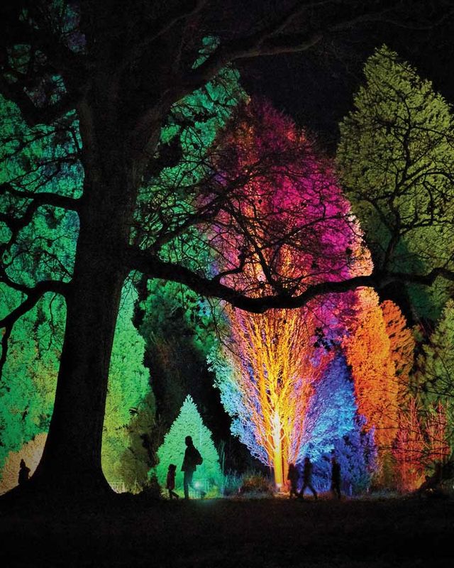 Ботанічний сад Нью-Йорка прикрасили 1 млн ліхтариків, і це така краса - фото 531136