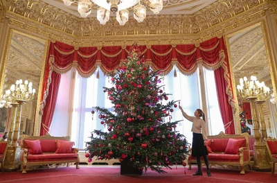 В Виндзорском дворце уже украсили елку к Рождеству - фото 531278