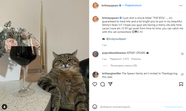 Бритни Спирс запостила в Instagram фото украинского кота-блогера - фото 531304