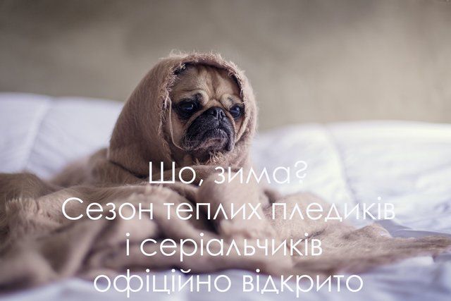 Атмосферні та забавні картинки з першим днем зими 2023 - 531617 Атмосферні та забавні картинки з першим днем зими 2023 - фото 531617