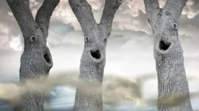 ТОП-10 ржачных фото, доказывающих, что у зимы есть чувство юмора