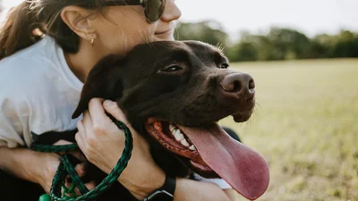 Пес навчився мурликати, і це таке мімімі