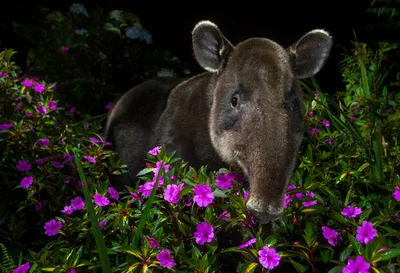 11 найкрутіших фото дикої природи 2021 року, від яких перехоплює подих - фото 532376