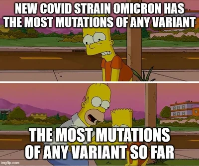 Новий варіант коронавірусу має найбільше мутацій. Найбільше мутацій поки що. - фото 532608