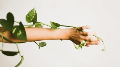 Сила жінки пов'язана з довжиною пальців