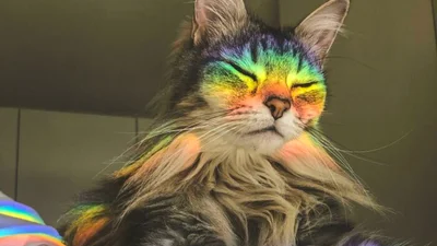 ТОП-20 фото веселки, яка з'явилася у найбільш неочікуваних місцях