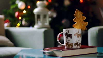 5 захопливих книг для різдвяного настрою