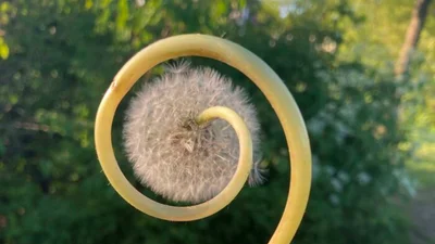 11 дивних природних явищ, які вдалося сфотографувати людям