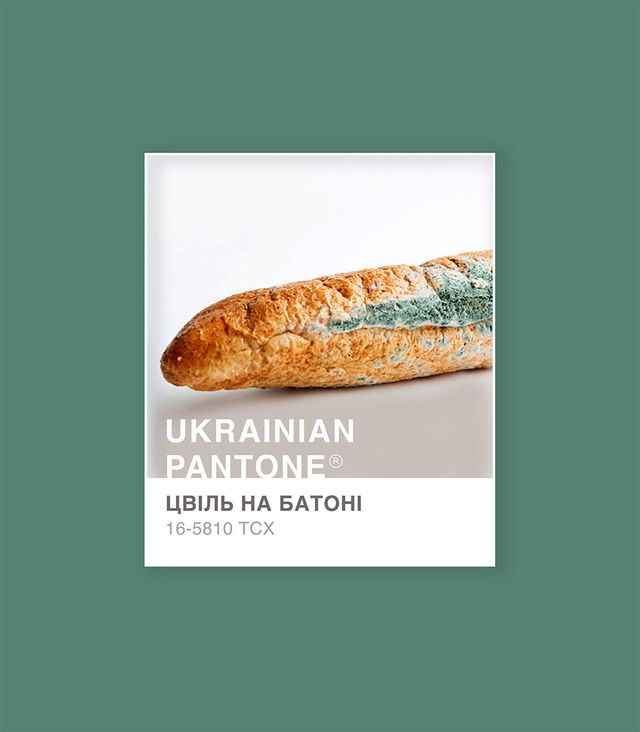 'Травичковий' или 'ружовий': украинка представила национальную цветовую версию Pantone - фото 533973