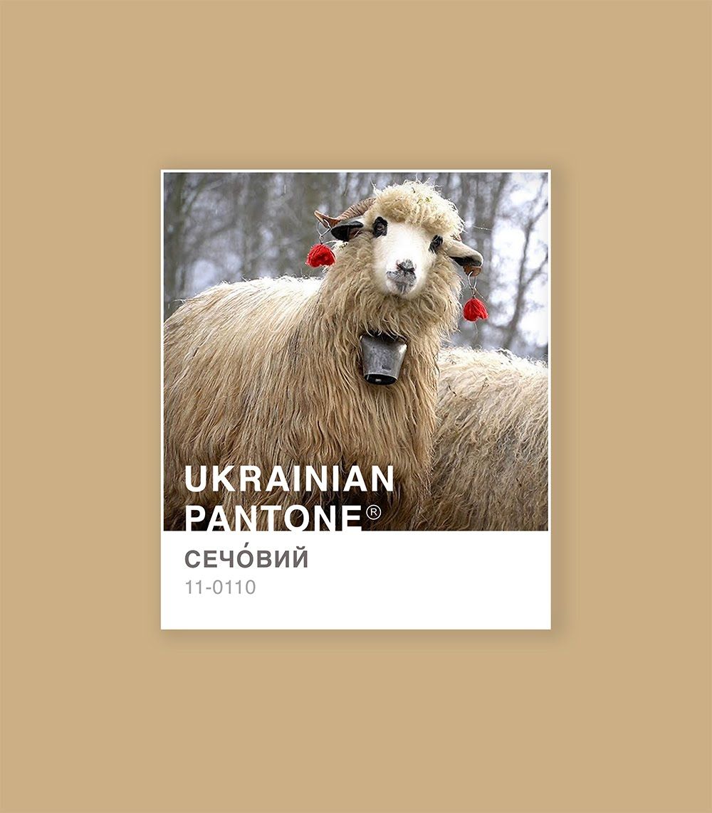 'Травичковий' или 'ружовий': украинка представила национальную цветовую версию Pantone - 533975 'Травичковий' или 'ружовий': украинка представила национальную цветовую версию Pantone - фото 533975