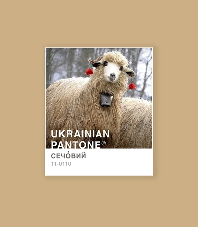Травичковий чи ружовий: українка представила національну версію кольорів Pantone - фото 533975