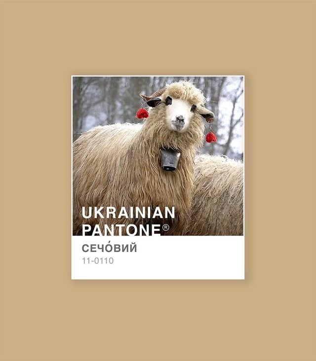 'Травичковий' или 'ружовий': украинка представила национальную цветовую версию Pantone - фото 533975