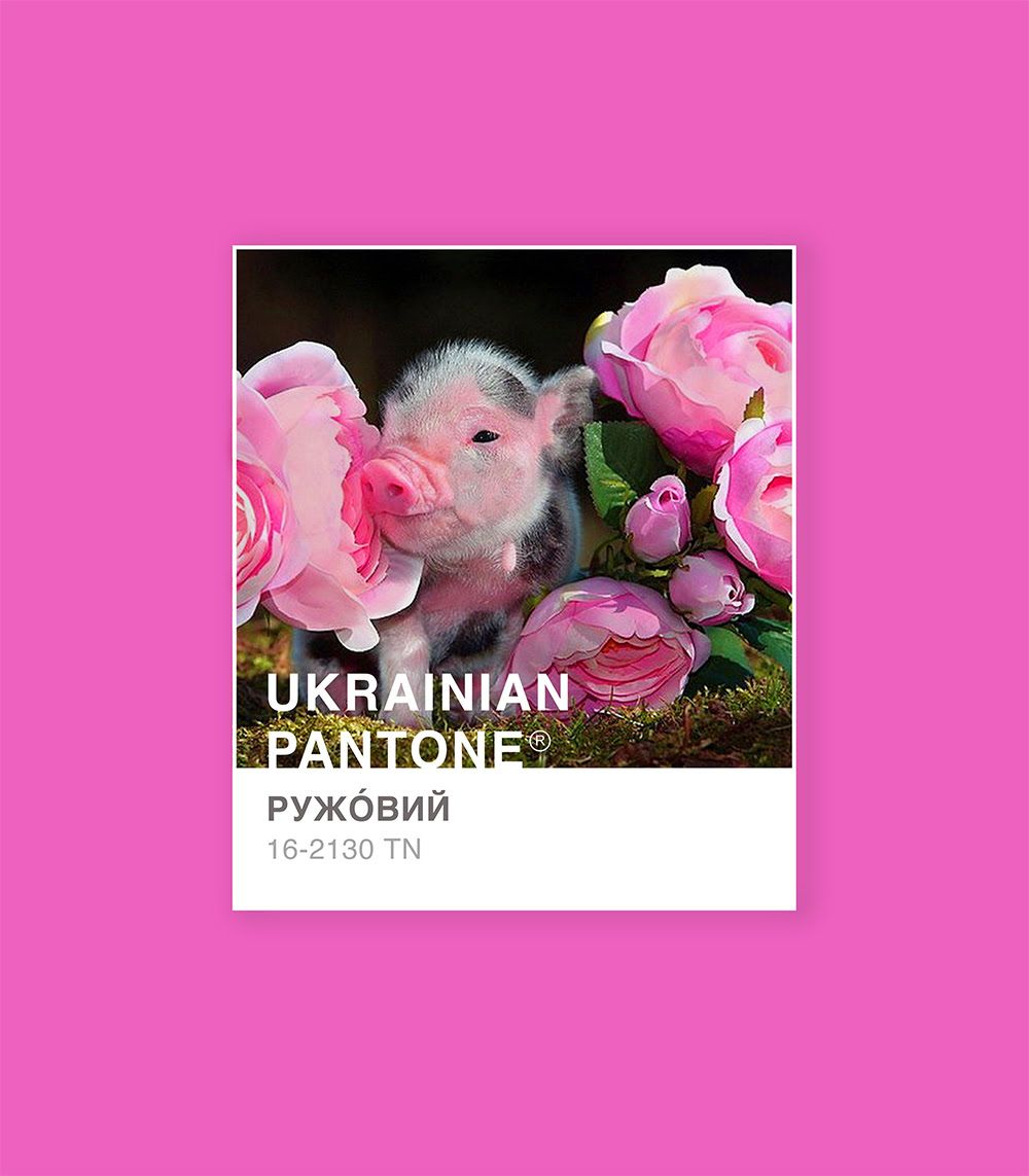 'Травичковий' или 'ружовий': украинка представила национальную цветовую версию Pantone - 533977 'Травичковий' или 'ружовий': украинка представила национальную цветовую версию Pantone - фото 533977