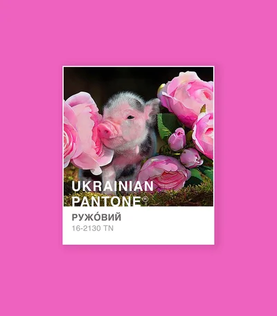 Травичковий чи ружовий: українка представила національну версію кольорів Pantone - фото 533977