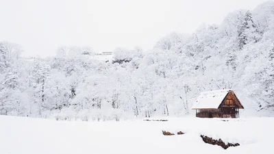 Карпати вкрило метровим шаром снігу