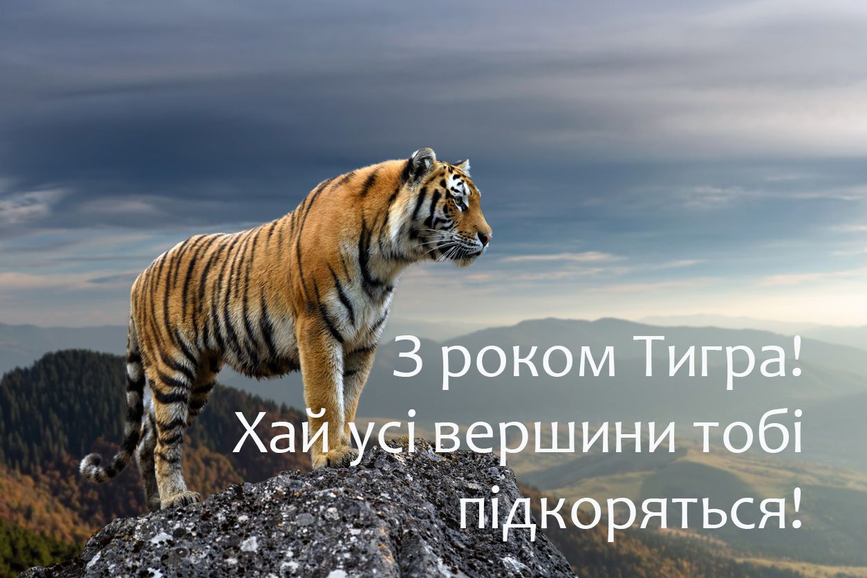 С Новым годом 2022: картинки и открытки для поздравлений - 534858 С Новым годом 2022: картинки и открытки для поздравлений - фото 534858
