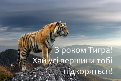 З Новим роком Тигра 2022 листівки - фото 534858