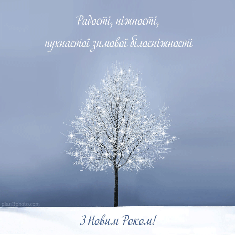 Поздравления коллегам с Новым годом: в прозе, своими словами и прикольных картинках - фото 535169