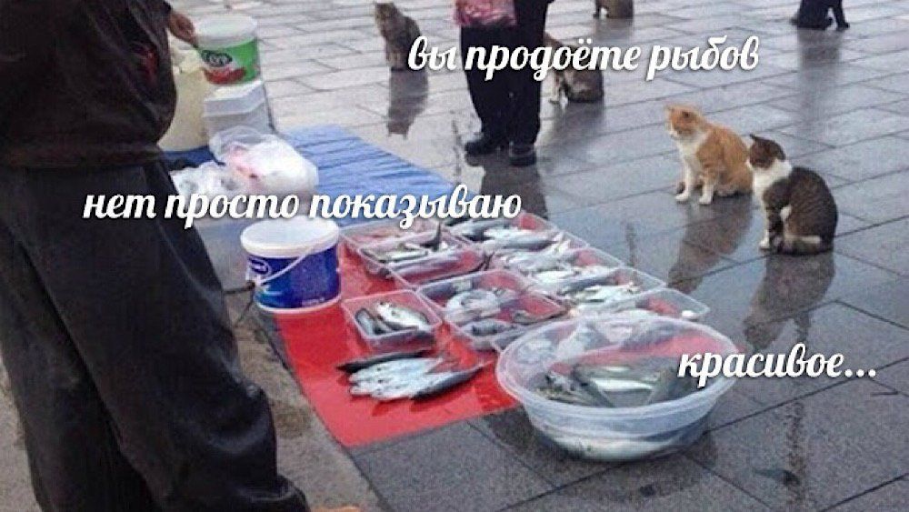 Лучшие мемы 2021 года, которые смешили нас все 12 месяцев - 535481 Лучшие мемы 2021 года, которые смешили нас все 12 месяцев - фото 535481