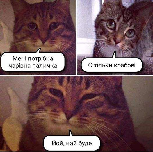 Добрые жизовые мемы о Рождестве, которые улучшат твое настроение - фото 535654