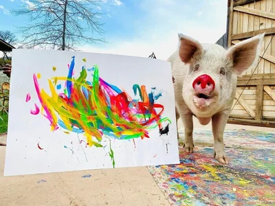 Взгляни, какие нереальные картины рисует свинья-художница - фото 535830