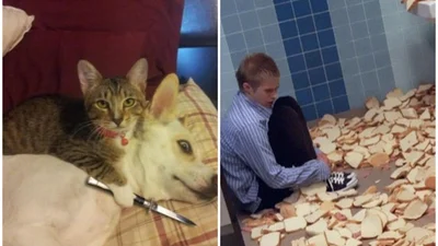 Люди поділилися знімками з дивною логікою, які точно з'явилися завдяки магії