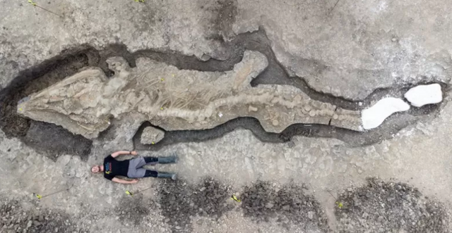 Чоловік знайшов 10-метрового динозавра, і це найбільше в історії палеонтологічне відкриття - фото 536139