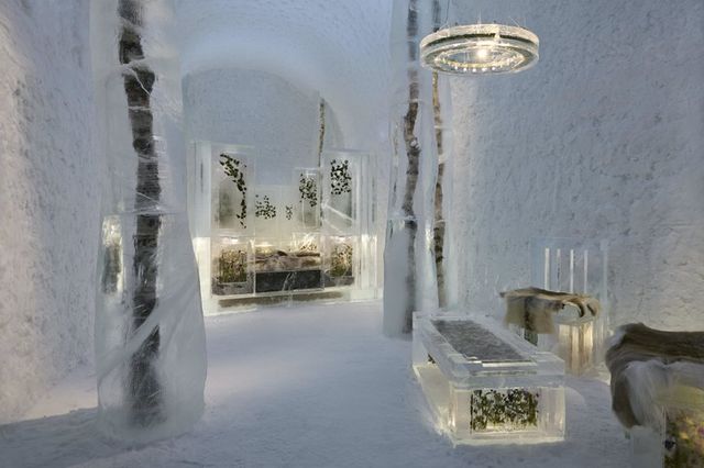В знаменитой ледяной гостинице появился впечатляющий номер, украшенный живыми цветами - фото 536188