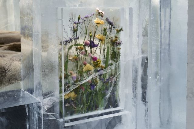 В знаменитой ледяной гостинице появился впечатляющий номер, украшенный живыми цветами - фото 536190