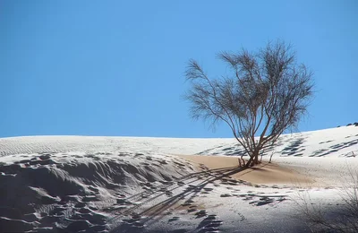 В пустыне Сахара выпал снег – потрясающие фото - фото 536791