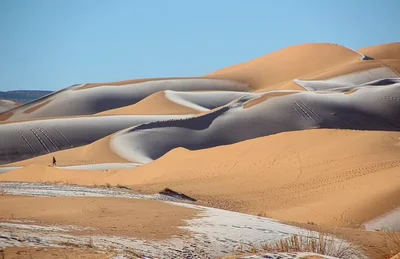 У пустелі Сахара випав сніг – потрясні фото - фото 536792