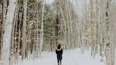 Львовский курсант так напился на Рождество, что прогулялся в Польшу и обратно