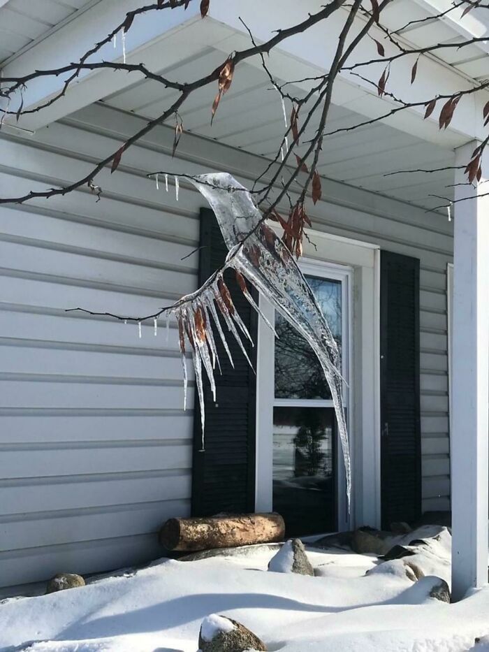 20 морозных и снежных фото о том, как выглядит настоящий холод - 536997 20 морозных и снежных фото о том, как выглядит настоящий холод - фото 536997