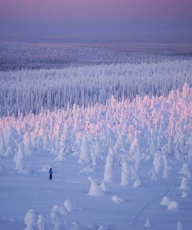 20 морозных и снежных фото о том, как выглядит настоящий холод - фото 537000