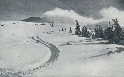 Опубликовали увлекательные архивные фотографии лыжников в Карпатах в начале XX века - фото 537508