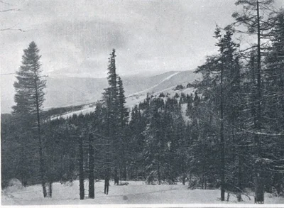 Опубликовали увлекательные архивные фотографии лыжников в Карпатах в начале XX века - фото 537511