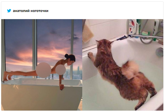 Украинская блогерша сфоткалась голой в странной позе и стала мемом - фото 537643
