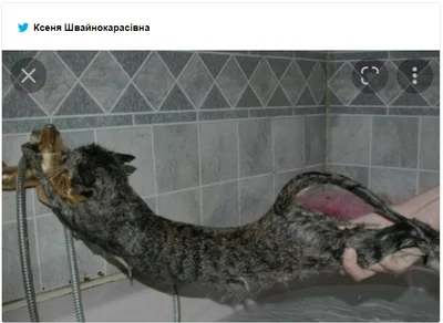 Украинская блогерша сфоткалась голой в странной позе и стала мемом - фото 537645