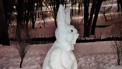 ТОП найсмішніших та креативних сніговиків, які зліпили українці цієї зими