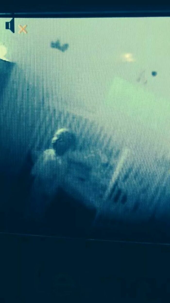 8 случаев, когда родителей напугали кринжевые выходки детей - 538479 8 случаев, когда родителей напугали кринжевые выходки детей - фото 538479
