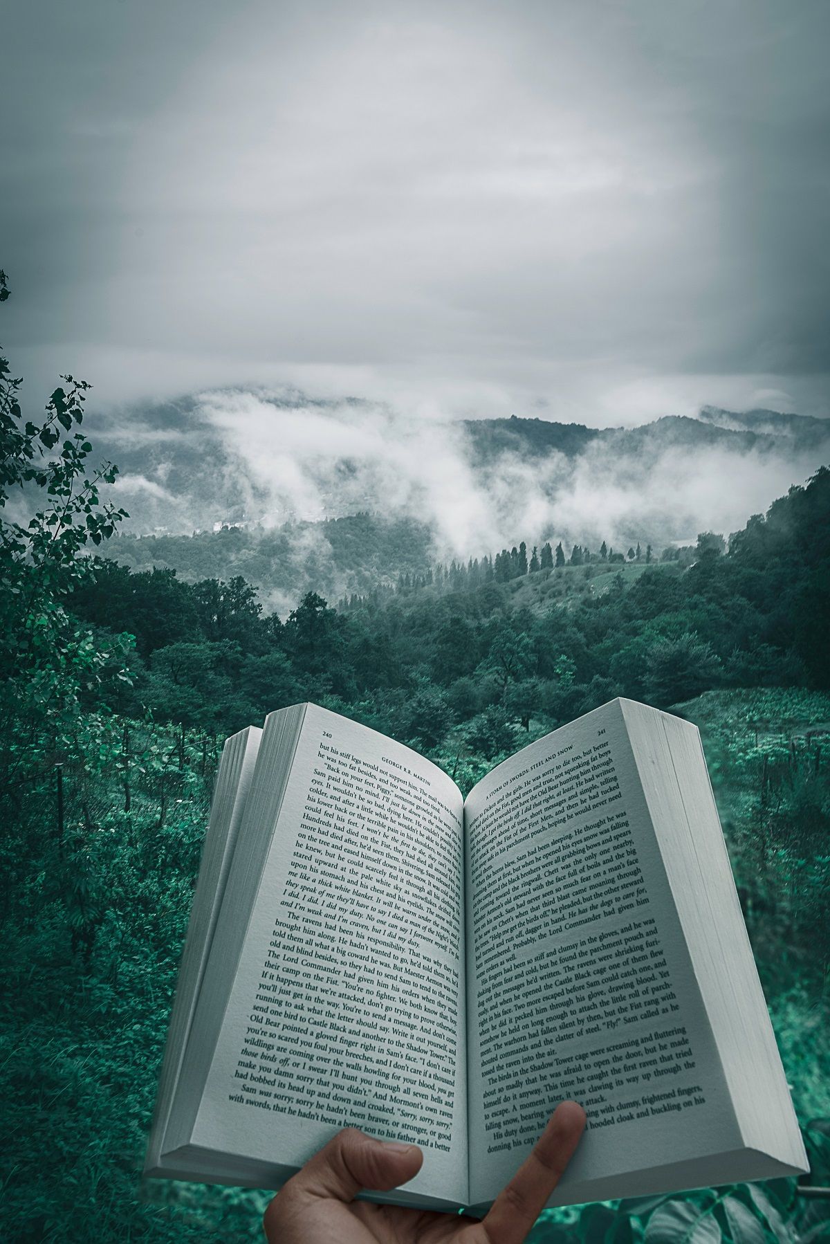 ТОП самых популярных: список книг, которые чаще всего выбирали по программе 'єПідтримка' - фото 538696