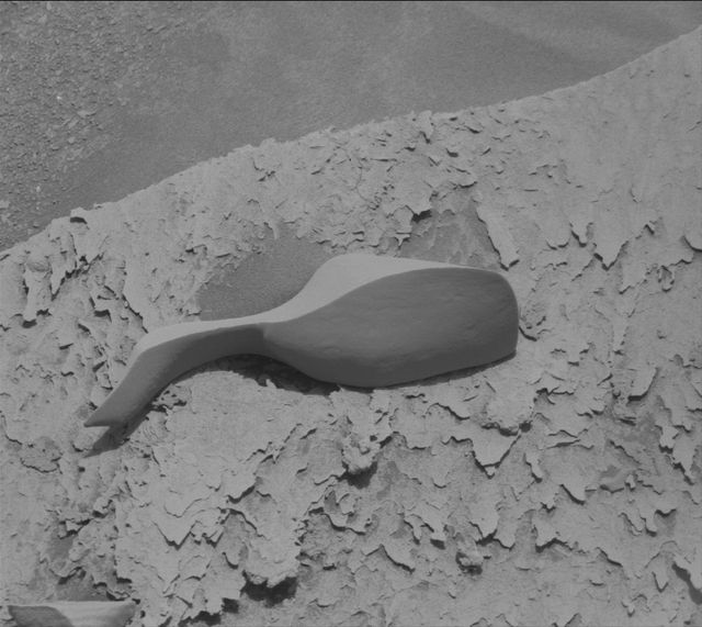 На Марсе нашли загадочный 'черпак', и ученые теряются в догадках, откуда он там взялся. - фото 539592