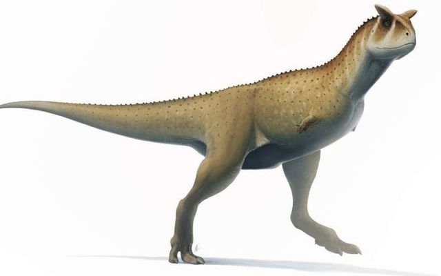 Без 'рук': ученые нашли самый странный вид динозавров за всю историю раскопок - фото 539839