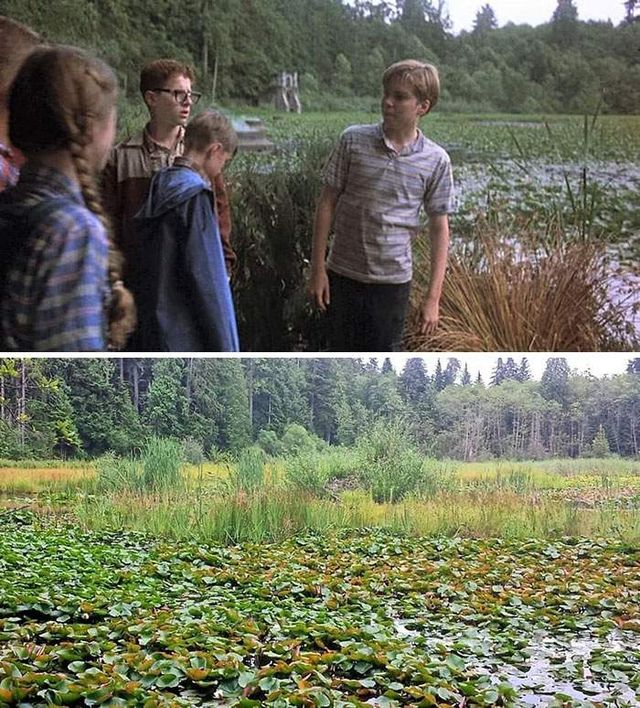 До и после: блоггер показал, как изменились известные локации из любимых фильмов - фото 540092