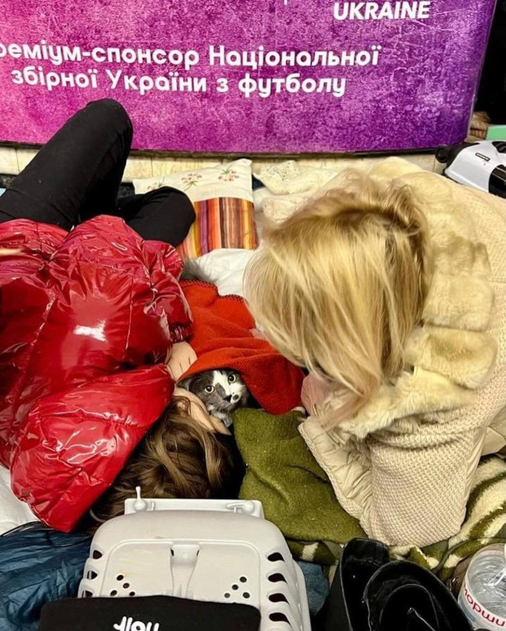 Українці не кидають своїх тваринок і беруть у бомбосховища - ось ці зворушливі фото - 540247 Українці не кидають своїх тваринок і беруть у бомбосховища - ось ці зворушливі фото - фото 540247